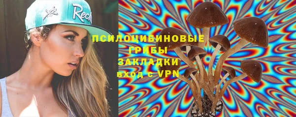 мдпв Арсеньев