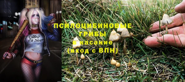 дживик Армянск